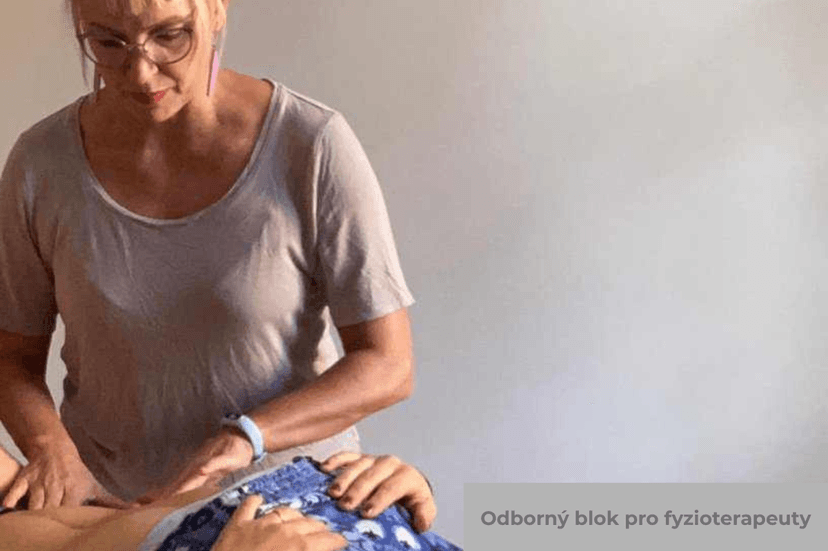 Navazující odborný blok pro fyzioterapeuty (rozšíření kurzu „Břišní stěna jako funkční systém“)